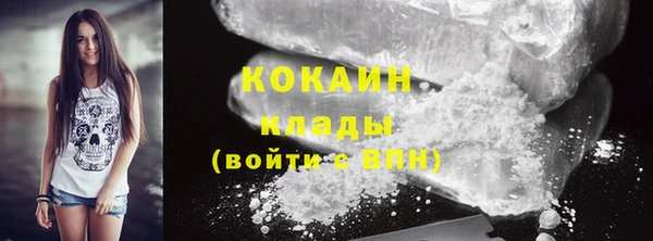 твердый Алексин