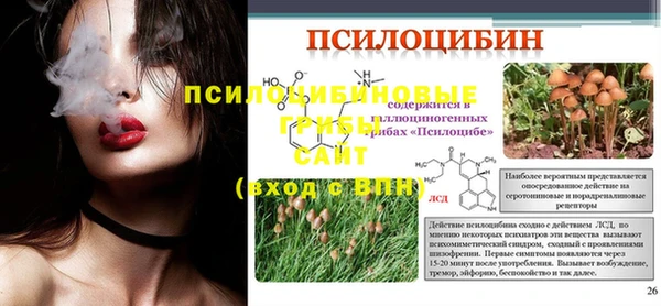 твердый Алексин