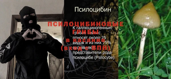 ПСИЛОЦИБИНОВЫЕ ГРИБЫ Алексеевка