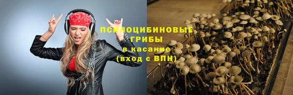 твердый Алексин