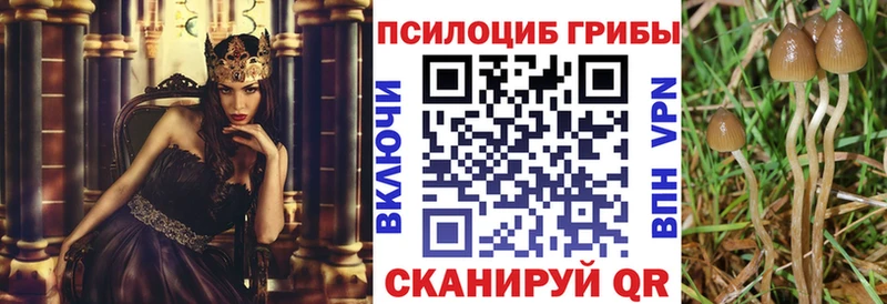 Псилоцибиновые грибы GOLDEN TEACHER мега зеркало Кукмор где купить